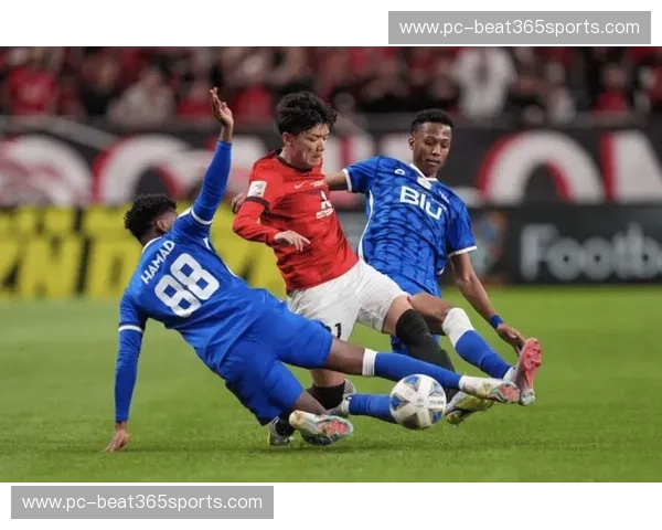 蓝染绿茵，葵花与黄蜂的宿命交锋：水户蜀葵vs福冈黄蜂的全景博弈